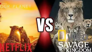 Our Planet VS Savage Kingdom (Netflix/Nat Geo Wild) Fan Made Death Battle Trailer