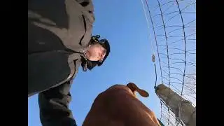 LEO CAM