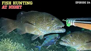 NIGHT SPEARFISHING EPISODE 114 | FISH HUNTING AT NIGHT