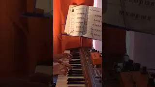 Yo No Sé