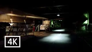 Walking through dark Japan.(Caminhando pelo Jap&atilde;o escuro.)