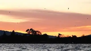 Night Lake - Ambient - 002