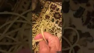 Lute Repair Progress - The Lost Ladino