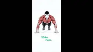 Simple Push-Up Tutorial &ndash; Build Strength Fast | Perfect Form for Beginners | WardZone