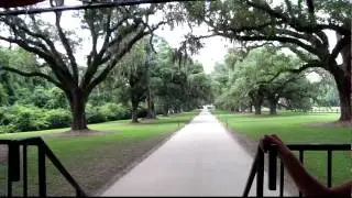 Boone Hall Plantation Oak Trees - Charleston, SC - High Definition
