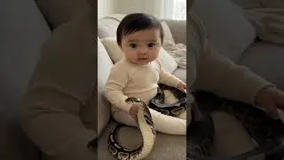 Meu filho brincando com o pet dele
