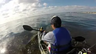 La Jolla Kayak Fishing with Alchemist