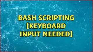 Bash scripting [keyboard input needed]