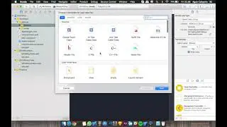 Auto Generate Xcode File Project Swift With MVVM Pattern