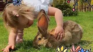 Jesień w hodowli królików 🐰