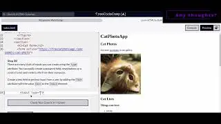 Responsive Web Design - Cat Photo App - 37,38,39