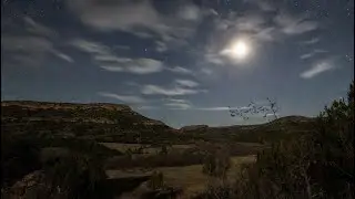 Texas Night Crickets & Bats | Sleep Sounds | 10hours | Black Screen