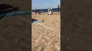 Немного оперы на пляже #shorts #shirt #юмор #приколы #shortvideo #смех #shortvideo #tiktok