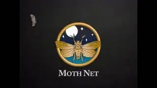 Moth Net:  Shedding Light on the Night