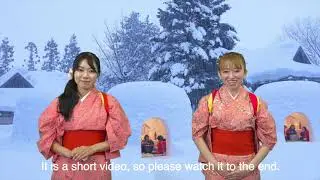 Yokote Kamakura Festival（横手のかまくら）