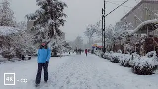 Snowy Day in TEHRAN 2023 (4k) - Vanak to Ferdows Garden | پیاده&zwnj;روی در خیابان ولیعصر