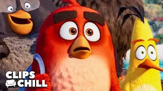 Pájaros VS. Cerdos! Las Mejores Escenas de Angry Birds Películas