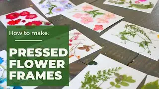 How to Make Pressed Flower Frames