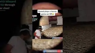 Speed plays a horror game on VR-{FanOfSeweey