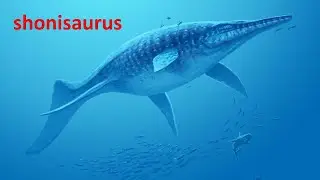 shonisaurus