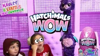 Hatchimal WOW Egg Hatching!