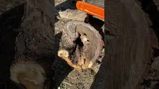 Fire Mitigation - Carriage Gate (Slash & Russian Olive Update)