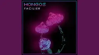 Hongos