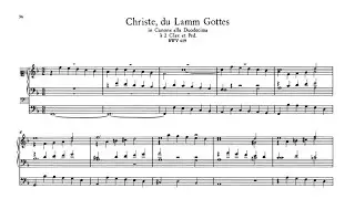 J. S. Bach - Christe, du Lamm Gottes BWV 619