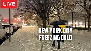 New York City: Heavy Snowstorm