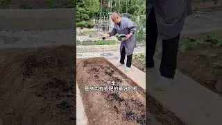 让土壤在冬天休养生息的好方法。#土壤改良 #每天分享蔬菜种植技巧 #关注我一起学种菜 #农业种植技术