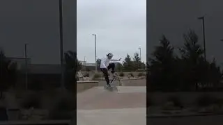 Skateboarding - Wallie, Wallie, Wallie!!!