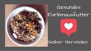 Gesundes Farbmausfutter selber Herstellen #SelberMischen #Farbmäuse