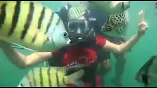 Scuba diving in grande island