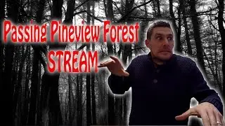 Passing Pineview Forest Stream/Pineview Drive