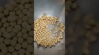 Satisfying Dropping Soy Bean #sounds #shorts #youtubeshorts #asmr #food