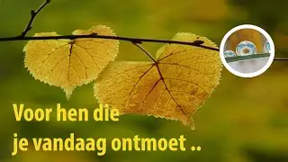Spreek in gedachten een zegen uit voor iedereen die je vandaag mag ontmoeten.