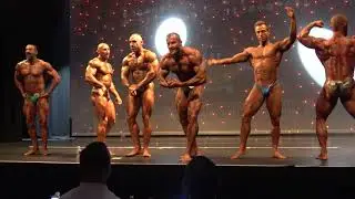 Posedown  - WFF Professional Men &ndash; WFF European Championship 2019