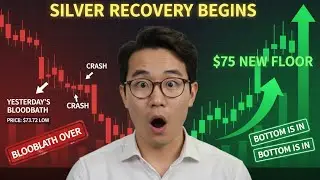 Silver Recovery Explodes: Why $75 Is Now The Unbreakable Floor After The Historic Bloodbath