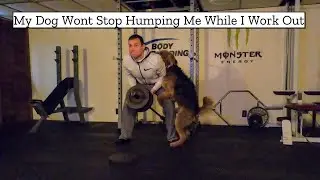 My Dog won&rsquo;t stop Humping me while I Work Out | Funny dog Videos