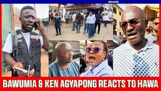 I Will Arrɛst Thugs Who Bɛat Hawa Koomson, If Am The President. Ken Agyapong Reacts