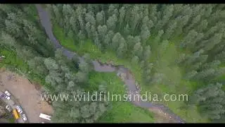 What birds see while flying over Champawat valley in Uttarakhand | Indian Monsoon