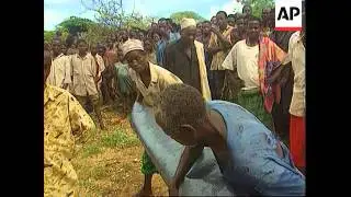 Somalia - Rising floods