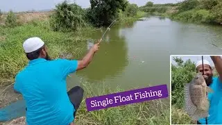Mastering The Art 