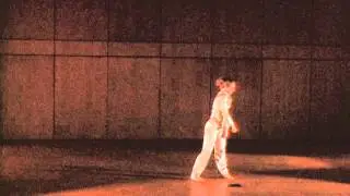 Perceivable Bodies (excerpt)