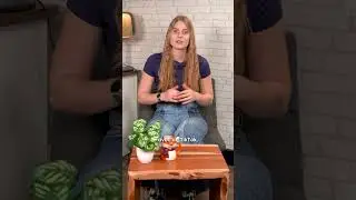 HANEIA R&Eacute;POND AUX CLICH&Eacute;S SUR LES MORMONS !