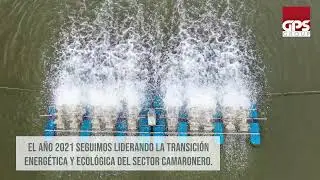 GPS Group: Video Institucional