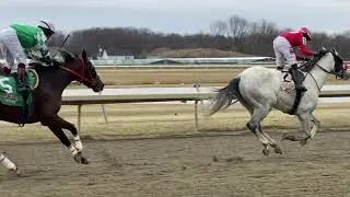 Lt. Colombo wins for owner/trainer/breeder Suzanne Jenkins