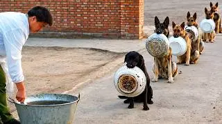 When God Sends You Funny Animals 😂 Funny Animal Videos 2026