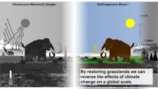 Pleistocene - Holocene transition