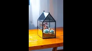 share this cactus insect terrarium planting tutorial